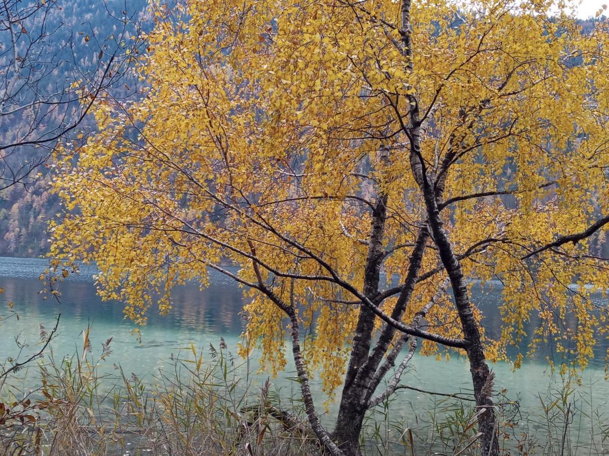 Landhaus Vogel Διαμέρισμα Weissensee Εξωτερικό φωτογραφία