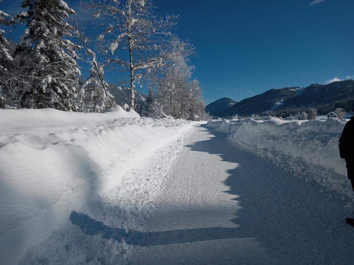 Landhaus Vogel Διαμέρισμα Weissensee Εξωτερικό φωτογραφία