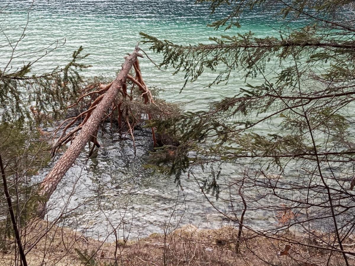 Landhaus Vogel Διαμέρισμα Weissensee Εξωτερικό φωτογραφία