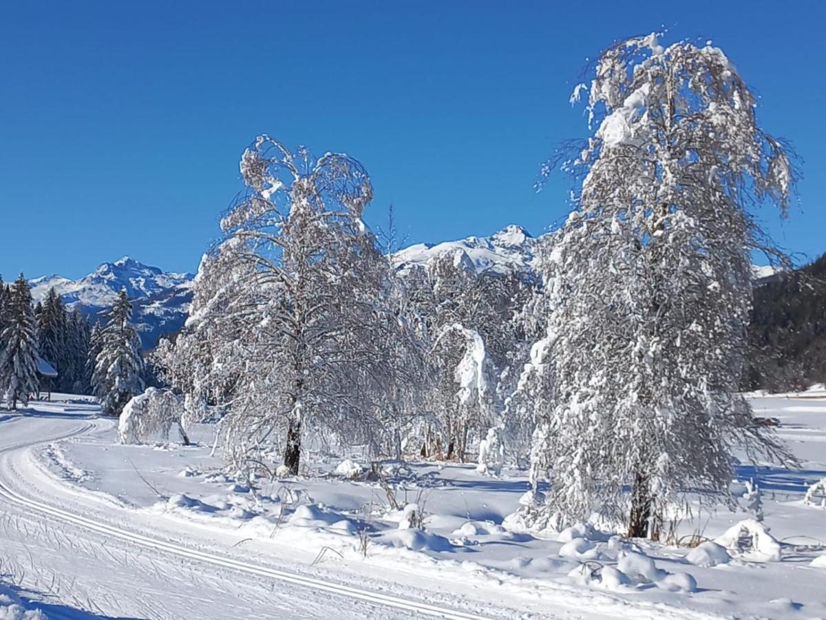 Landhaus Vogel Διαμέρισμα Weissensee Εξωτερικό φωτογραφία