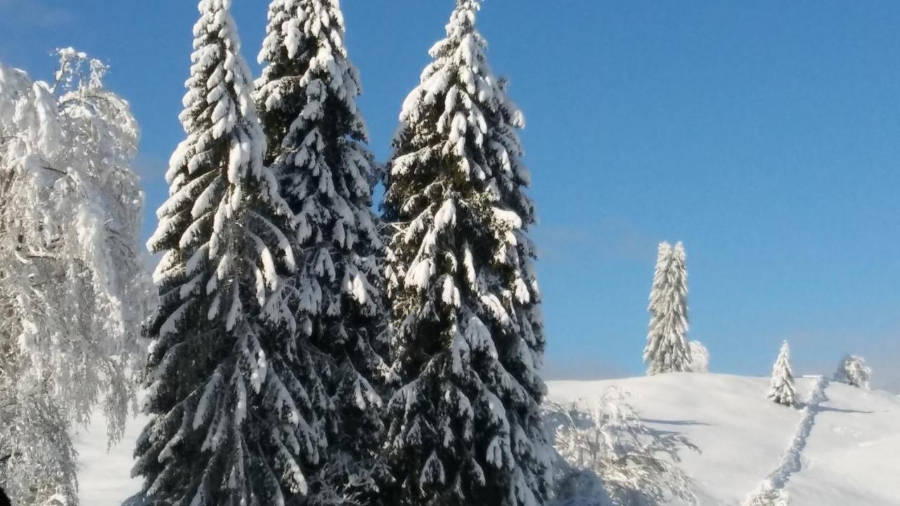 Landhaus Vogel Διαμέρισμα Weissensee Εξωτερικό φωτογραφία