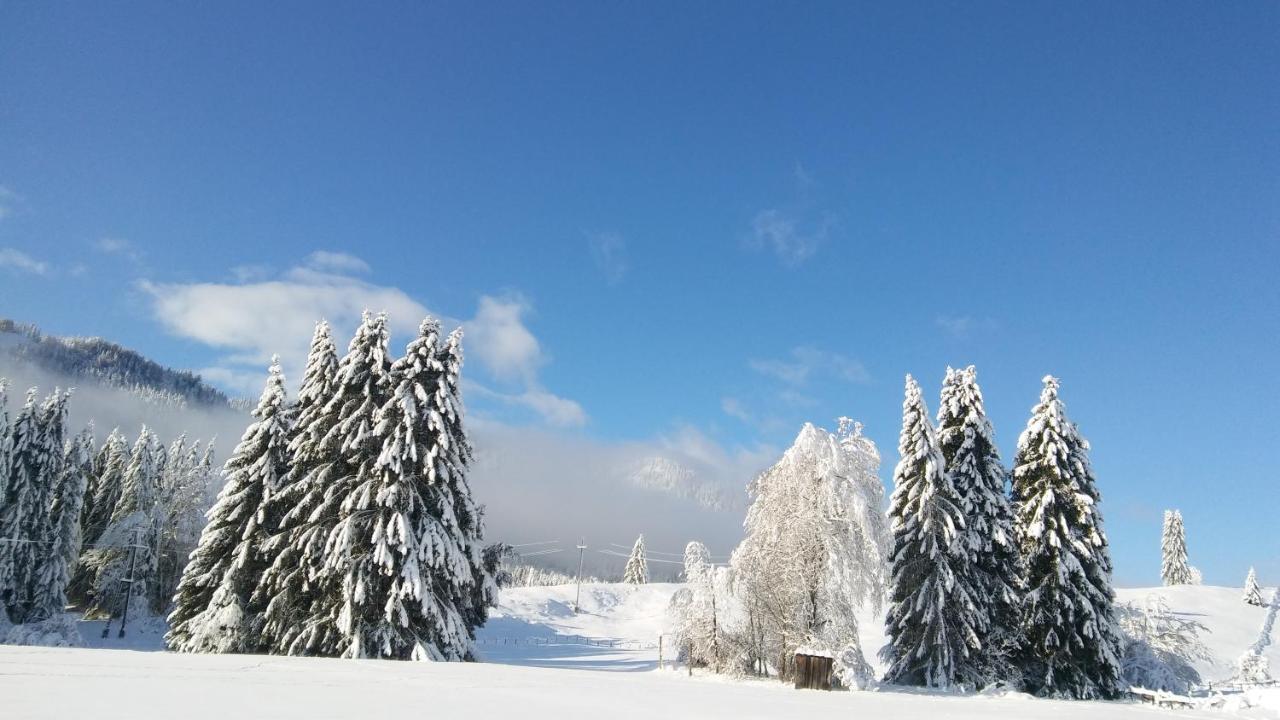 Landhaus Vogel Διαμέρισμα Weissensee Εξωτερικό φωτογραφία